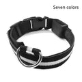 LED Safety Dog Collar-Glow in the Dark, Adjustable & Rechargable