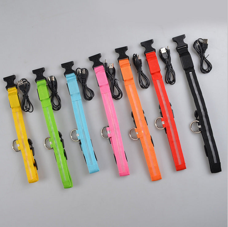 LED Safety Dog Collar-Glow in the Dark, Adjustable & Rechargable