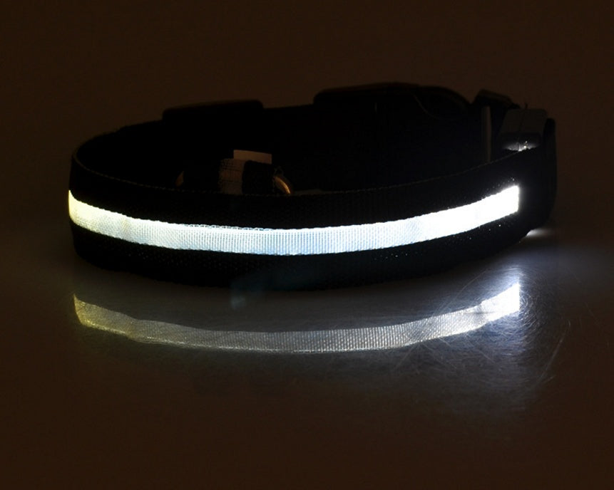 LED Safety Dog Collar-Glow in the Dark, Adjustable & Rechargable