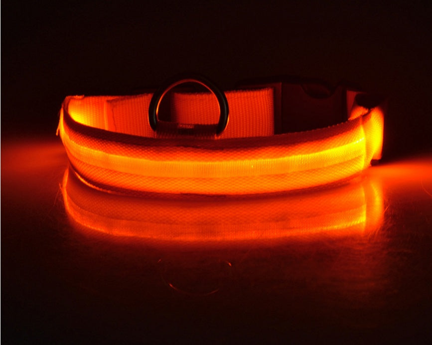 LED Safety Dog Collar-Glow in the Dark, Adjustable & Rechargable