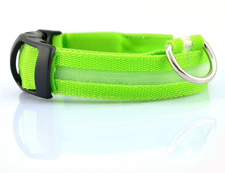 LED Safety Dog Collar-Glow in the Dark, Adjustable & Rechargable