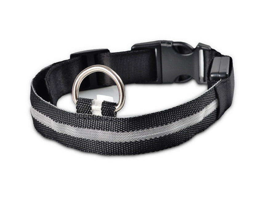 LED Safety Dog Collar-Glow in the Dark, Adjustable & Rechargable