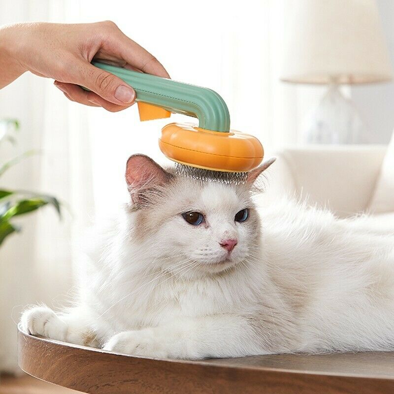 Self-Cleaning Pumpkin Pet Brush - For Dogs & Cats