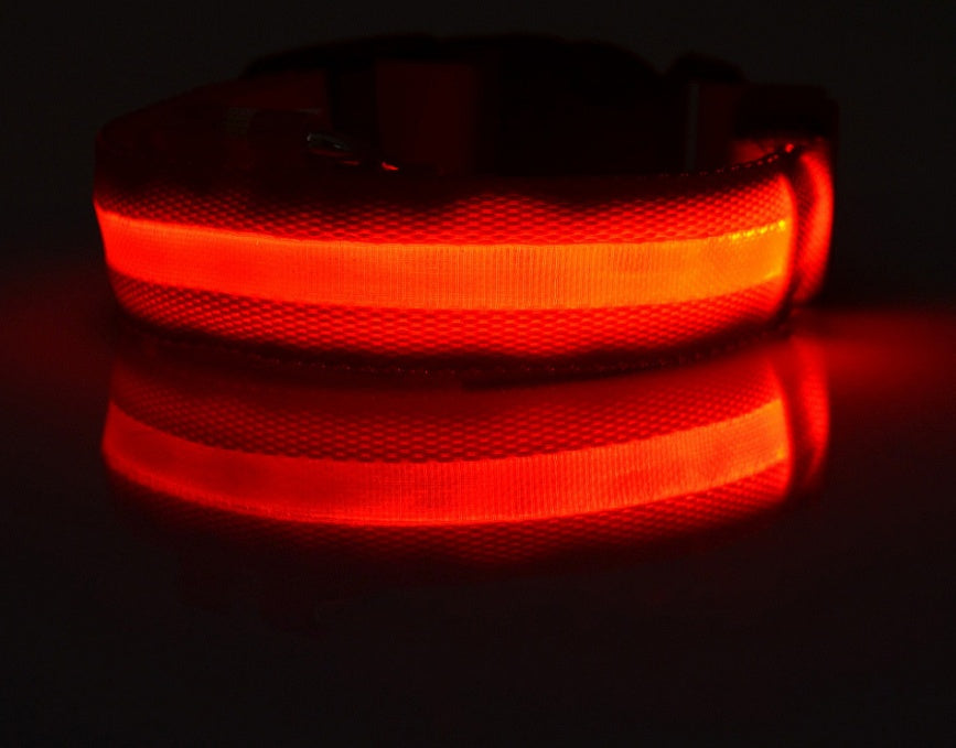 LED Safety Dog Collar-Glow in the Dark, Adjustable & Rechargable