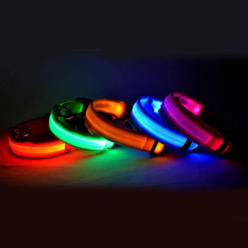 LED Safety Dog Collar-Glow in the Dark, Adjustable & Rechargable