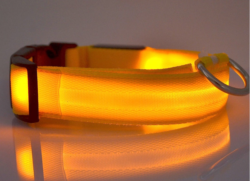 LED Safety Dog Collar-Glow in the Dark, Adjustable & Rechargable