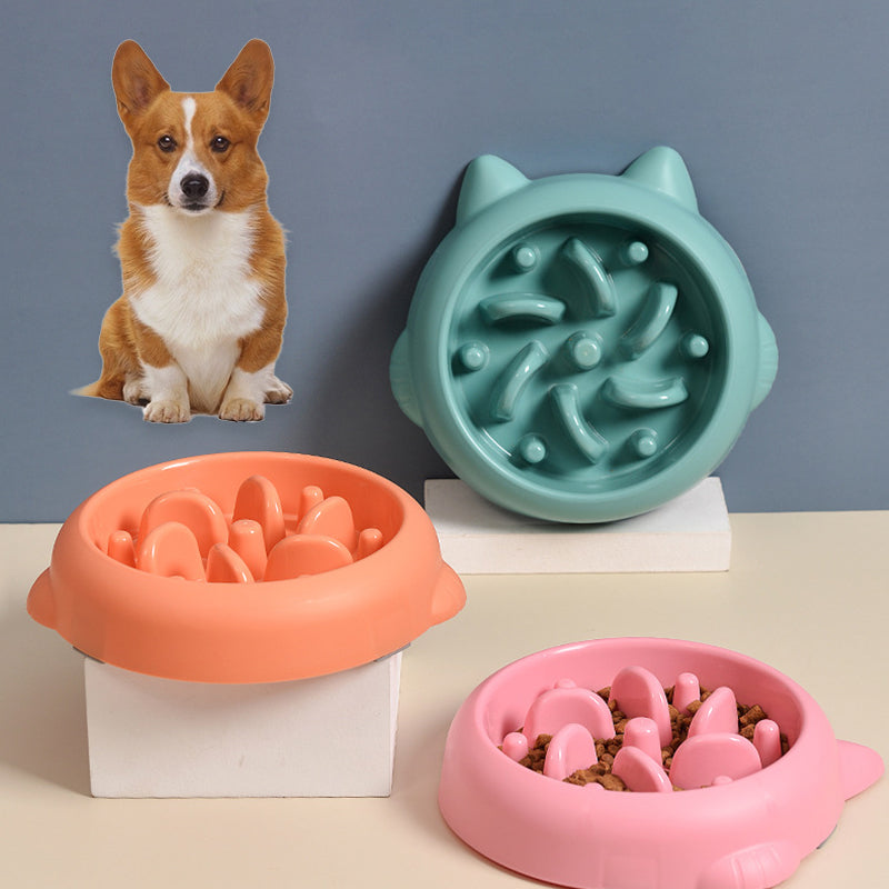 Anti-Choking Slow Feeder Bowl - For Dogs & Cats