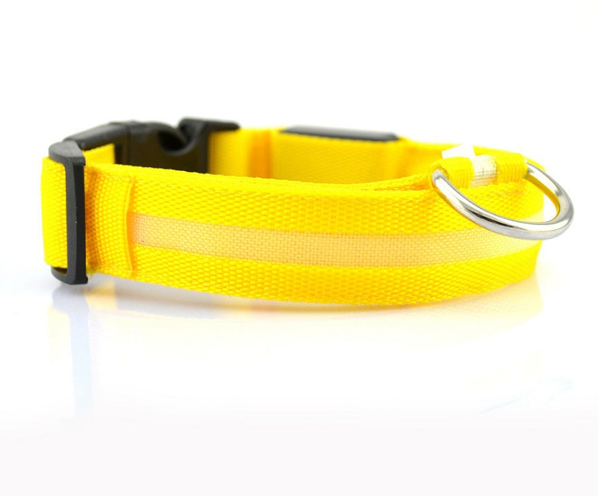 LED Safety Dog Collar-Glow in the Dark, Adjustable & Rechargable