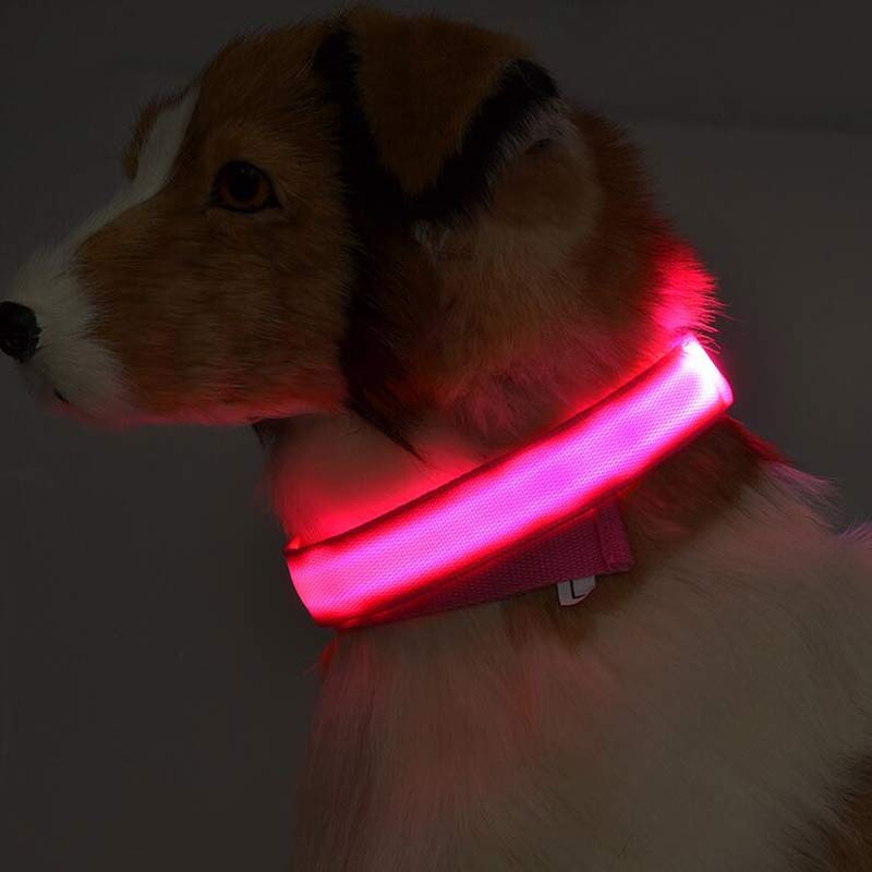 LED Safety Dog Collar-Glow in the Dark, Adjustable & Rechargable