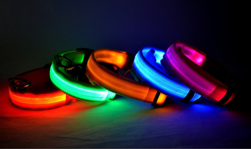 LED Safety Dog Collar-Glow in the Dark, Adjustable & Rechargable