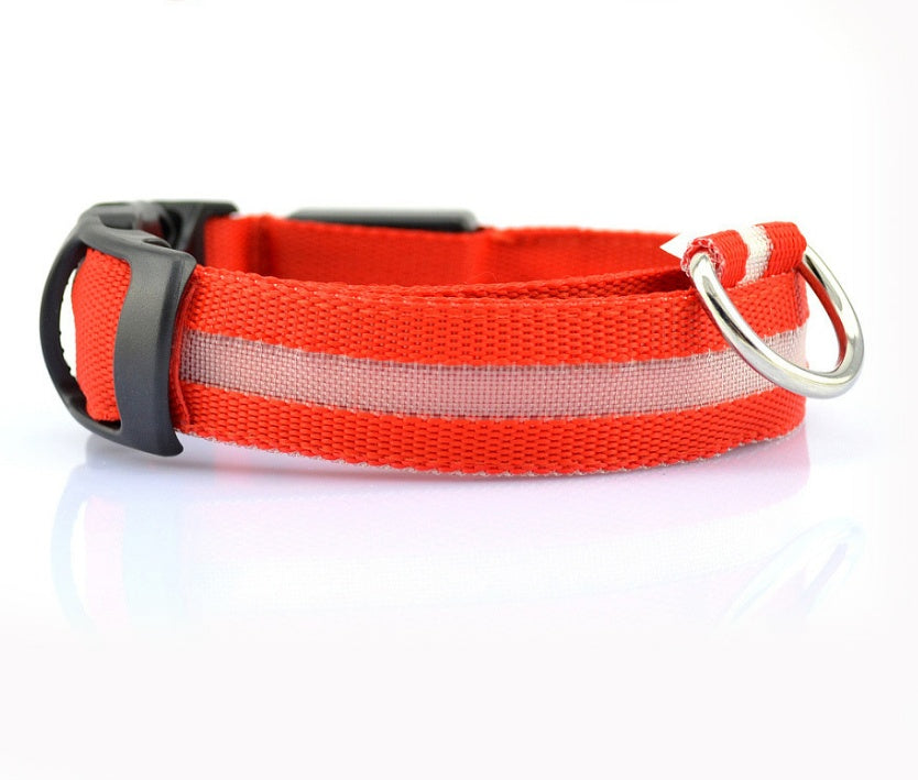 LED Safety Dog Collar-Glow in the Dark, Adjustable & Rechargable