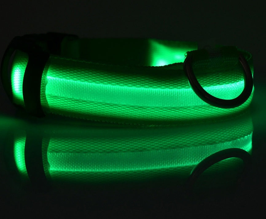 LED Safety Dog Collar-Glow in the Dark, Adjustable & Rechargable