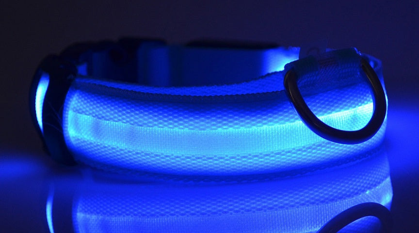 LED Safety Dog Collar-Glow in the Dark, Adjustable & Rechargable