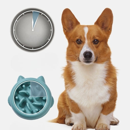 Anti-Choking Slow Feeder Bowl - For Dogs & Cats